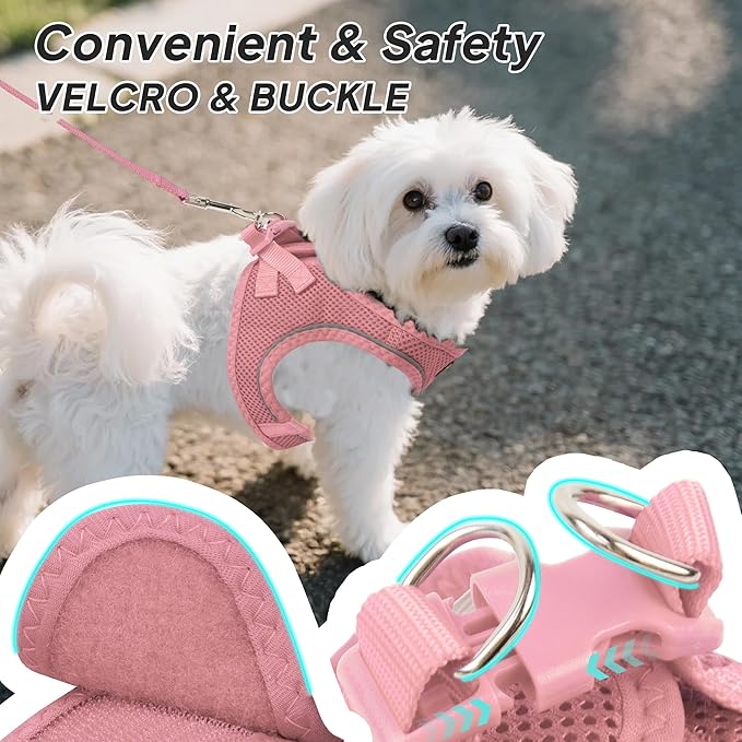 PetiFine Step in Small Dog Harness and Leash Set, Breathable All Weather Air Mesh Reflective Escape Proof, Step-in Vest Harnesses for Puppy(S, Pink)