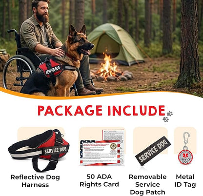 Service Dog Vest + ID Tag + 50 ADA Information Cards - Service Dog Harness w Patch in Sizes X Small to XX Large, Metal Dog Tag has Durable Clip, Service Animal Information Cards. ESA Accessory Set