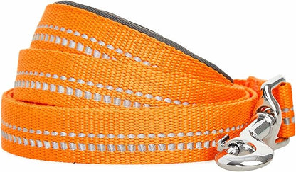 Blueberry Pet 3M Reflective Pastel Color Dog Leash with Soft & Comfortable Handle, 5 ft x 5/8", Orange Peel, Small, Leashes for Dogs