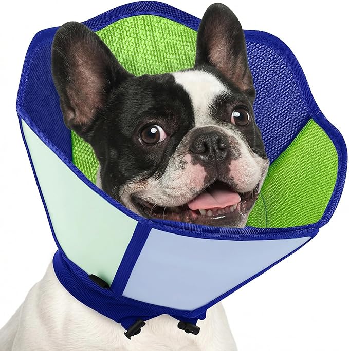 AOFITEE Dog Cone - Dog Cone Collar After Surgery, Comfy Cones for Dogs to Stop Licking, Adjustable Small Soft Dogs Cones for Wound Healing, Elizabethan Pet E-Collar, Bluegreen Small