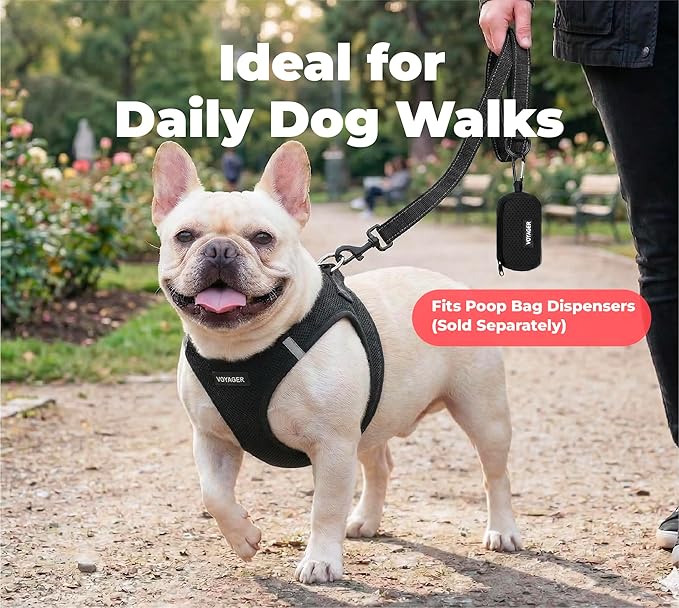Best Pet Supplies Voyager Reflective Dog Leash or Collar with Neoprene Handle, for Small, Medium, and Large Breed Puppies, Cute and Heavy Duty for Walking, Running and Training - Black (Leash), L