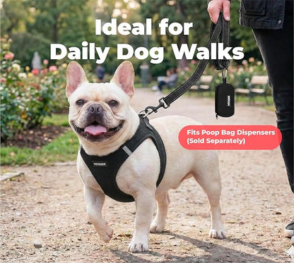 Best Pet Supplies Voyager Reflective Dog Leash or Collar with Neoprene Handle, for Small, Medium, and Large Breed Puppies, Cute and Heavy Duty for Walking, Running and Training - Black (Leash), L