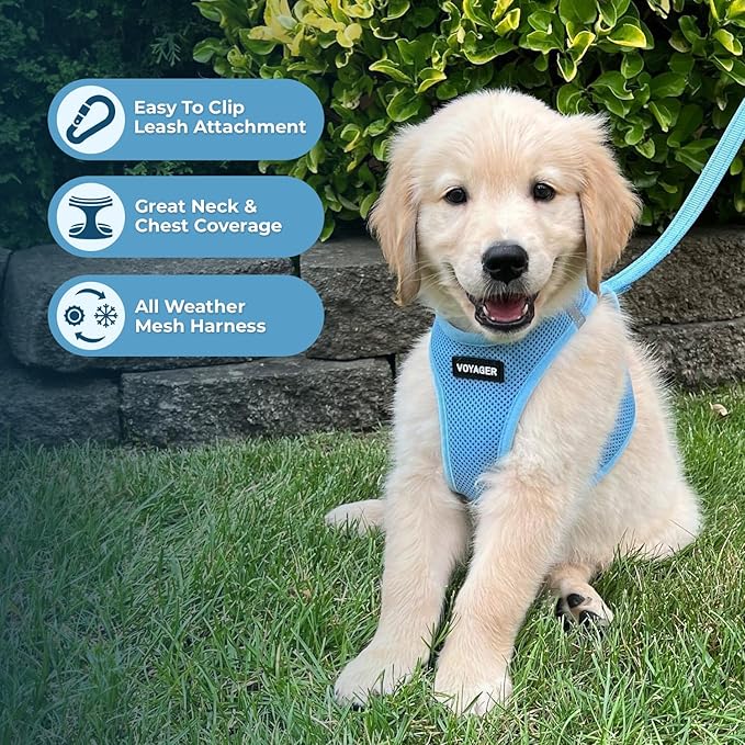 Best Pet Supplies Voyager Step-in Air All Weather Mesh Harness and Reflective Dog 5ft Leash Combo with Neoprene Handle, for Small, Medium and Large Breed Puppies - Set (Baby Blue), X-Large