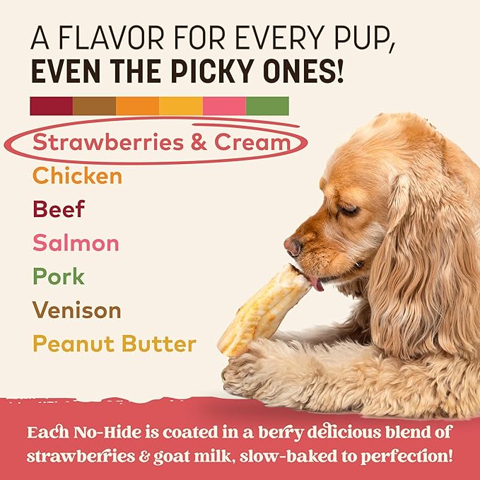 Earth Animal No-Hide Rolls Strawberries & Cream Vegetarian Recipe Small Natural Rawhide Alternative Dog Chews, 6 Pack Value Pack