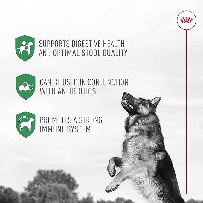 Royal Canin Probiotics for Dogs Digestive and Immune Health Powder Supplement for Dogs of All Ages, 30 Count (Pack of 2)