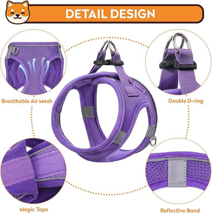 Dog Harness with Leash Set, No-Pull Step-in Reflective Pet Harness with 1 Leash Clips, Adjustable Soft Padded Easy Walk Dog Vest for Small Medium Large Dogs, Cats(Light Purple, Large)