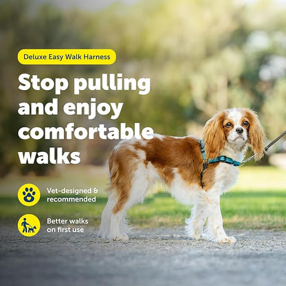 PetSafe Deluxe Easy Walk Harness - Trainer-Trusted Dog Chest Harness with Breathable Martingale Loop Design - Helps Stop Pulling with No Choking & Gagging - Small - Ocean