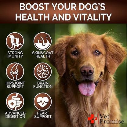 Turkey Tail Mushroom for Dogs - 170 Chews - Mushroom Supplement for Dogs - Lions Mane - Reishi - Immunity Support Multivitamin Vitamins - Joint Health - Energy - Gut - Skin - Made in USA
