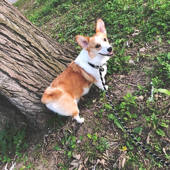 Long Slip Lead Dog Leash Reflective Anti-Choking 12 FT/20 FT/30 FT/50 FT Rope Training Leash for Medium Dogs Small Puppy Pets (30ft, Black)