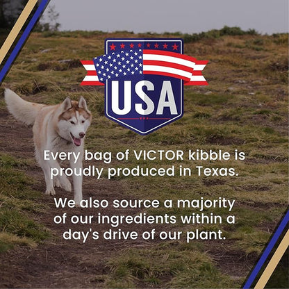 VICTOR Super Premium Dog Food – Select Beef Meal & Brown Rice Formula for Immune and Gut Health – Gluten-Free Beef Meal Dry Dog Food for All Normally Active Dogs of All Life Stages, 15 lbs