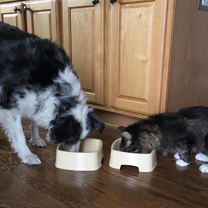 Easy to Feed Pet Bowl with Handle - The Ultimate Reaching Aid and Dog Bowl for Pet Lovers