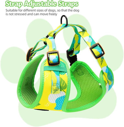 Small Dog Harness and Leash Set of 6, No Pull Soft Lightweight Mesh Puppy Harness， Adjustable Cute Floral Pattern Pet Harness for Small Medium Dogs (Green Leaf, L)