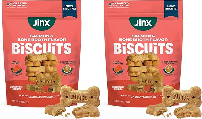 Jinx Oven-Baked Salmon Bone Broth Biscuit Dog Treats - Crunchy, All Natural, Superfood-Rich with High-Protein Salmon, Dog Biscuits for Puppies, Adults & Seniors - 16oz (Pack of 2)