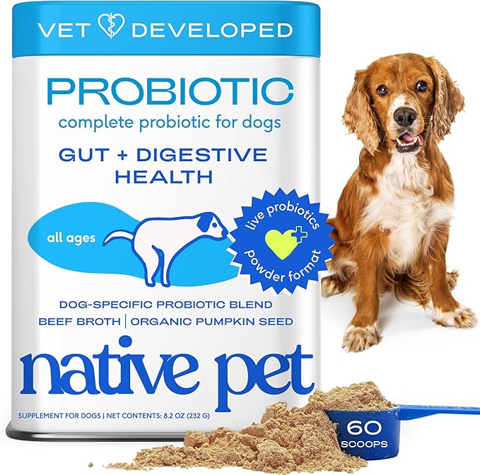 Native Pet Probiotics for Dogs – Dog Probiotic Powder for Gut & Digestive Health, Vet-Formulated 6B CFUs Dog-Specific Probiotic Strains, Supports Stool Quality & Diet Transitions – 60 Scoops