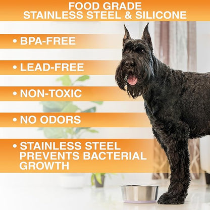 Neater Pet Brands Stainless Steel Dog Bowls with Non-Slip Rubber Bottom – 3 Cup (24 oz), Pink - Set of 2 Heavy Duty Metal Dog Bowls, Dishwasher Safe, Food or Water Bowl, Ideal for Small to Medium Dogs