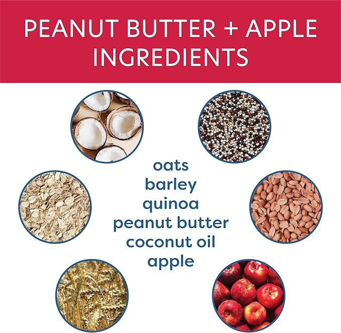 Body and Soul Peanut Butter + Apple Crunchy Premium Health Training Dog Treat Superfood Oven Baked Biscuits Oats, Barley & Quinoa – Clean Natural Plant Protein, No Additives No Filler Made in USA 10oz