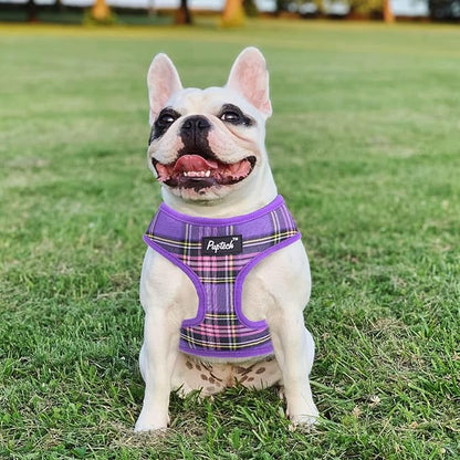 PUPTECK Soft Mesh Dog Harness and Leash Set Pet Puppy Cat Comfort Padded Vest No Pull Harnesses, Purple, S