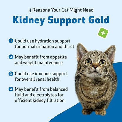 Pet Wellbeing Kidney Support Gold for Cats - Supports Normal Kidney Function & Detox, Healthy Hydration & Energy with Rehmannia & Dong Quai - NASC Certified & Vet-Formulated - 4 oz Liquid Formula