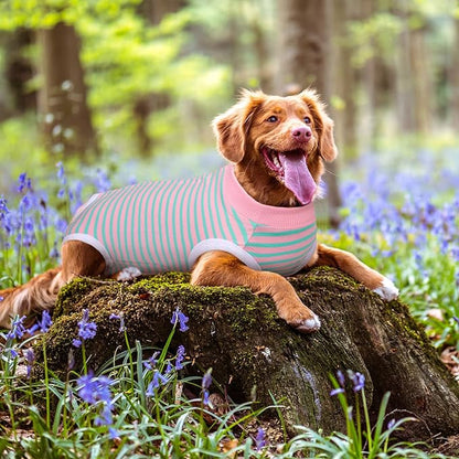 Dog Recovery Suit, Puppy Surgical Pajamas Bodysuit for Dogs Cats After Spay Neuter Surgery Abdominal Wound Bandages, Striped Onesie Pant for Shedding Skin Disease, Anti-Licking Cone Alternative XL