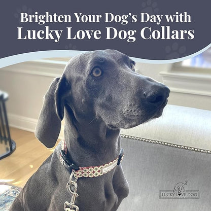 Lucky Love Dog - Easy Click Buckle Dog Collar with Leash Set Combo, Durable & Comfortable for Male & Female Dogs, Pet Collar for Large Dogs, Secure Fit - Pongo Combo, Large