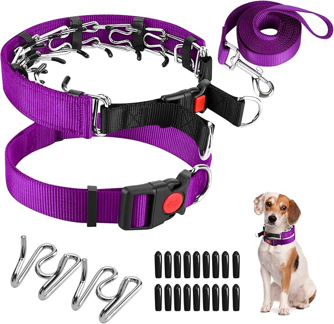Prong Training Collar with Comfort Tips and Quick Release - Dog Choke Pinch Collar with Nylon Cover - Classic Collar and Leash for Small to Large Dogs