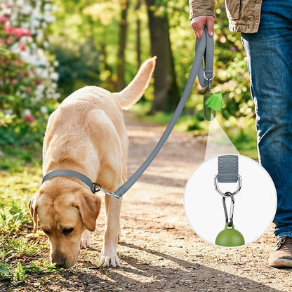 Joytale Dog Leash, 6 FT Double-Sided Reflective, Padded Handle Nylon Heavy Duty Leashes for Medium & Large Dogs Walking, Grey