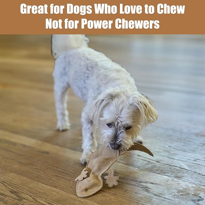 SPOT Skinneeez Leather Lizard – 15" Stuffing-Free Dog Toy with Real Leather & 2 Squeakers, Chew & Toss Toy for Small & Medium Dogs, Best for Light to Moderate Chewers