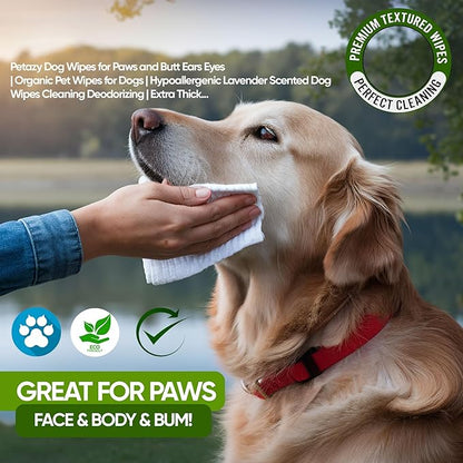 Petazy Dog Wipes for Paws and Butt – 100 Count (8x8in) Hypoallergenic, Deodorizing Pet Wipes for Dogs and Cats | Extra Large, Plant-Based, Lavender Scented | Travel Size, Single On-the-Go Pack