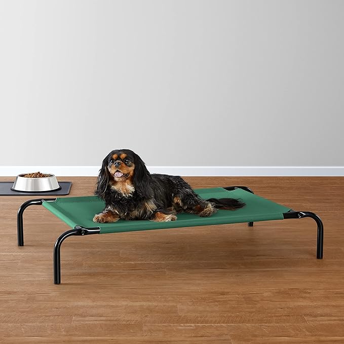 Amazon Basics Cooling Breathable Elevated Dog Bed with Metal Frame for Small Dogs, 36" x 22" x 7.5", Green