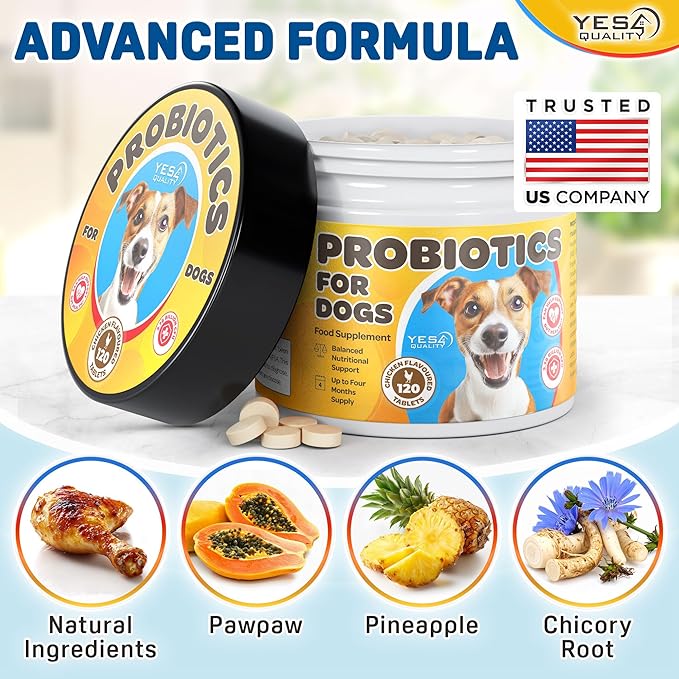 Dog Probiotics - Prebiotic & Probiotic Chews for Dogs - May Support Immunity, Digestive & Gut Health, Diarrhea, Flatulence Relief & Upset Stomach - 120 Chicken Flavored Tablets