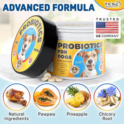 Dog Probiotics - Prebiotic & Probiotic Chews for Dogs - May Support Immunity, Digestive & Gut Health, Diarrhea, Flatulence Relief & Upset Stomach - 120 Chicken Flavored Tablets