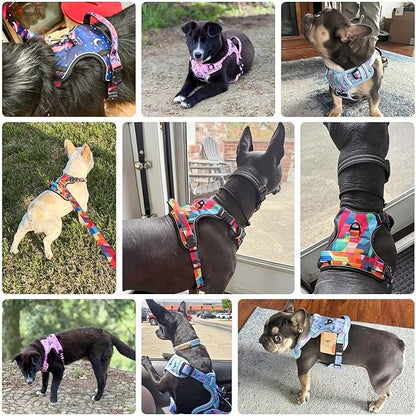 BEAUTYZOO No Pull Dog Harness Large, Adjustable Dog Harness and Leash Set -Easy Wearing with 3 Buckles/Control Handle,No Choke Soft Padded Reflective Pet Vest for Training Walking Hiking,Grey L