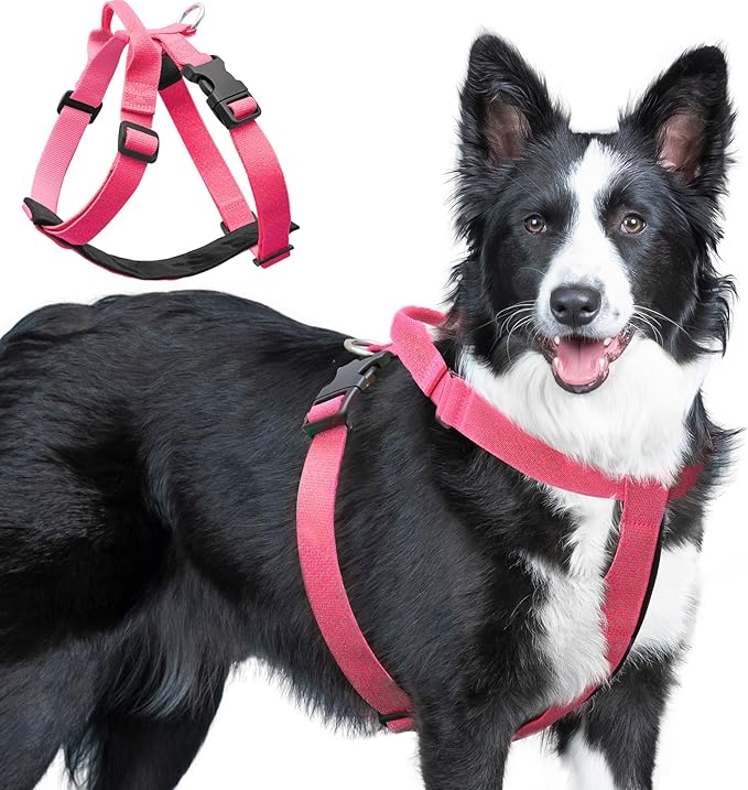 Galaxy Reflective Dog Harness,Adjustable 4-Point Fit,Anti-Pinch Buckles,Back-Clip Control & Emergency Handle,Velvet Lined for Small, Medium and Large Dogs, (Pink, M)