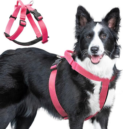Galaxy Reflective Dog Harness,Adjustable 4-Point Fit,Anti-Pinch Buckles,Back-Clip Control & Emergency Handle,Velvet Lined for Small, Medium and Large Dogs, (Pink, M)
