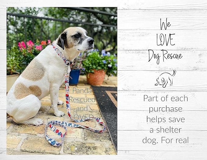 Lucky Love Dog Martingale Collar and Leash Set, Premium Fun Girl No Slip Collars, Strawberry Martingale Dog Collar and Leash Set, Great for Whippets, Greyhounds, and More (Sweet Berry, Medium - Combo)
