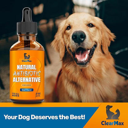 Natural Antibiotics for Dogs for Allergies, Infections, Coughs, Digestive Moments – Dog Antibiotics with Beef Flavor May Support Urination and Breathing – Organic Composition with Cranberry – 2 Oz
