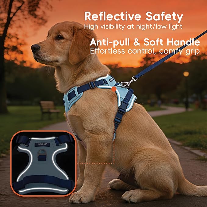 3 in 1 No Pull Dog Harness Leash and Collar Set, Soft Adjustable Dogs Vest Reflective and Comfortable Handle Blue X-Large