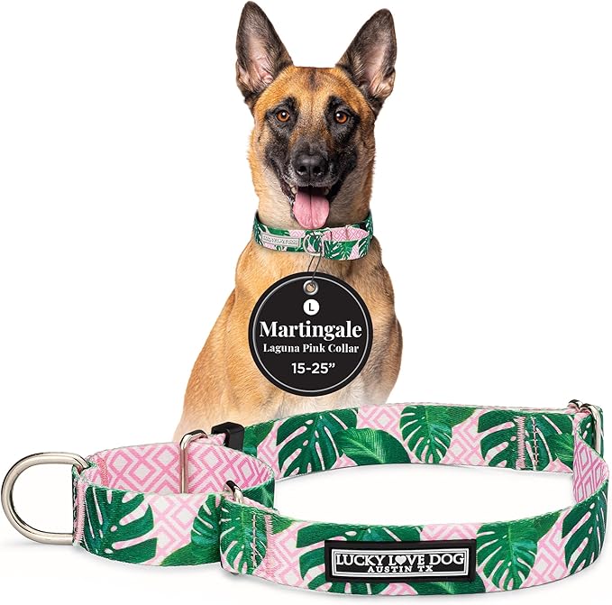 Lucky Love Dog Martingale Dog Collar - Adjustable, No-Slip, Comfortable, Durable, Soft Webbing & Stylish Patterned Collar for Male and Female Dogs Ideal for Training & Walking - Laguna, Large