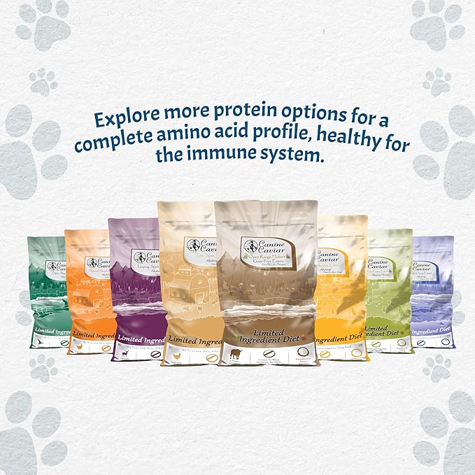 Canine Caviar - Open Sky: Duck & Teff Alkaline Dry Dog Food, Limited Ingredients, Gluten-Free, Based on Science & Research, Veterinary Alternative Diet (4.4 Pound Bag)