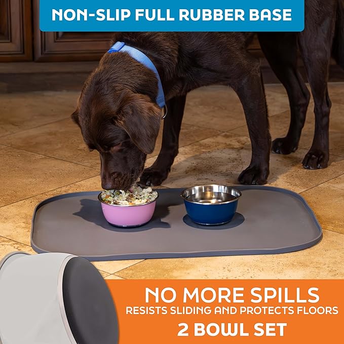 Master Pet Supply Stainless Steel Dog Bowls Set of 2 (16 Oz Each) with Non-Slip Rubber Base - Bone White - Basic Dog Food Bowl Water & Food Bowls for Small Medium Large Dogs & Cats, Metal Dish