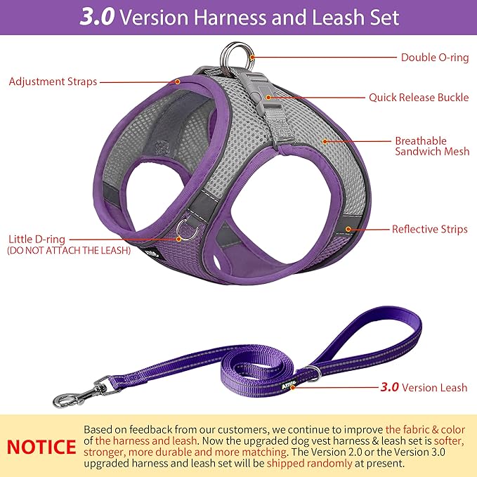 AIITLE Small Harness for Puppy with A Leash - Dog Vest Harness with Super Breathable Mesh, Reflective No-Pull Pet Harness for Outdoor Walking, Running for Small Dogs, Cats Purple XXS