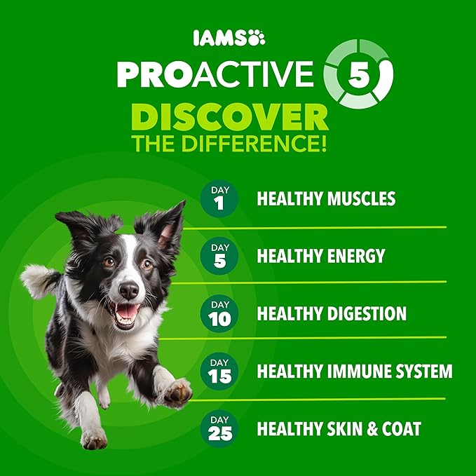 IAMS Proactive Health Dry Dog Food, Adult Dog Food Dry Recipe, Beef & Rice Recipe, 30 lb. Bag