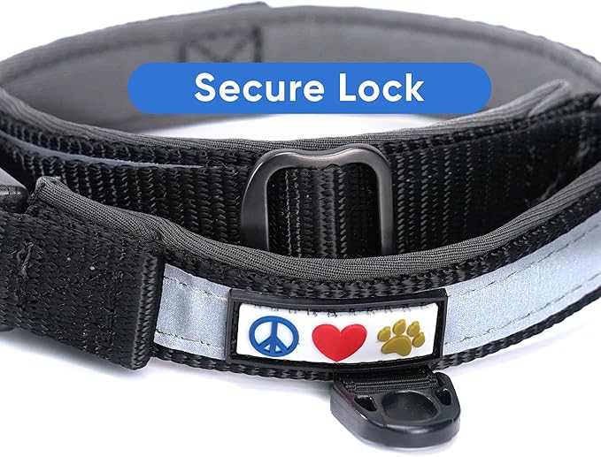 Pawtitas Lumberjack Padded Martingale Collar for Dogs | Soft Neoprene Dog Collar for Your pet's Comfort Made with Reflective Band for Maximum Visibility | Fits Small and Large Pets - Small Black