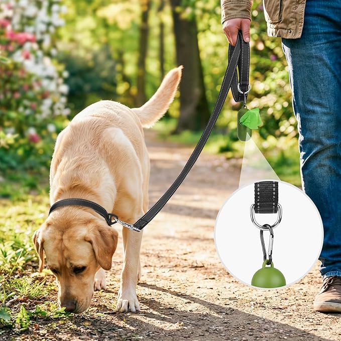 Joytale Dog Leash, 5 FT Double-Sided Reflective, Padded Handle Nylon Heavy Duty Leashes for Small Dogs Walking, Black