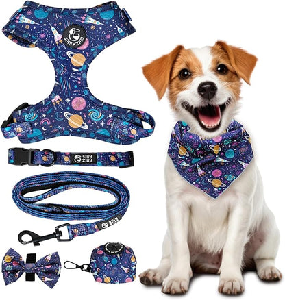 No Pull Harness and Leash Set - 6-in-1 Adjustable Vest Harness and Collars for Medium and Large Dogs. (Cosmic, Extra Small)