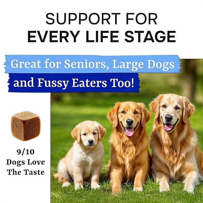 Advanced Probiotics for Dogs - 120 Billion CFUs - Digestive Health & Enzymes - Diarrhea, Gas, Upset Stomach Relief & Season Allergy - Prebiotics Fiber Supplement - Pet Probiotics for Dogs - 120 Chews