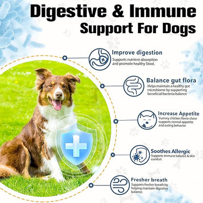 Probiotics for Dogs with Enzymes & Fiber Blend Supports Gut Health, Yeast Balance, Allergies, Itchy Skin, Boost Immune - Natural Probiotic Supplement for Digestive, Diarrhea, Gas, Constipation,120Ct