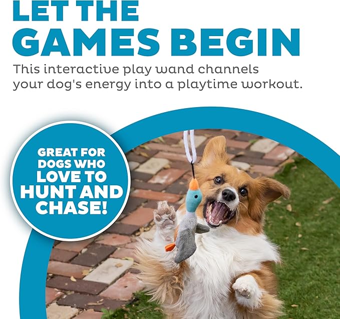Outward Hound Tail Teaser Interactive Dog Wand Toy with Squeaky Plush Teaser and Crinkle Sounds for Active Play, Multicolored