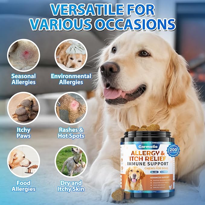 Carmelie Dog Allergy Chews 200 Chews - Dog Itching Skin Relief & Yeast - Itchy Skin and Ears & Anti Licking Paw Relief, Seasonal Allergies, Probiotics Gut Digestive, Skin & Coat Immunity - Chicken