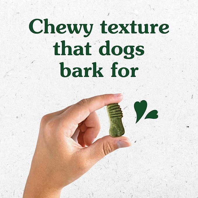Greenies Anytime Bites Dog Treats,Mint Flavor,Dog Training Treats,10.3 oz. Bag,(Pack of 2)
